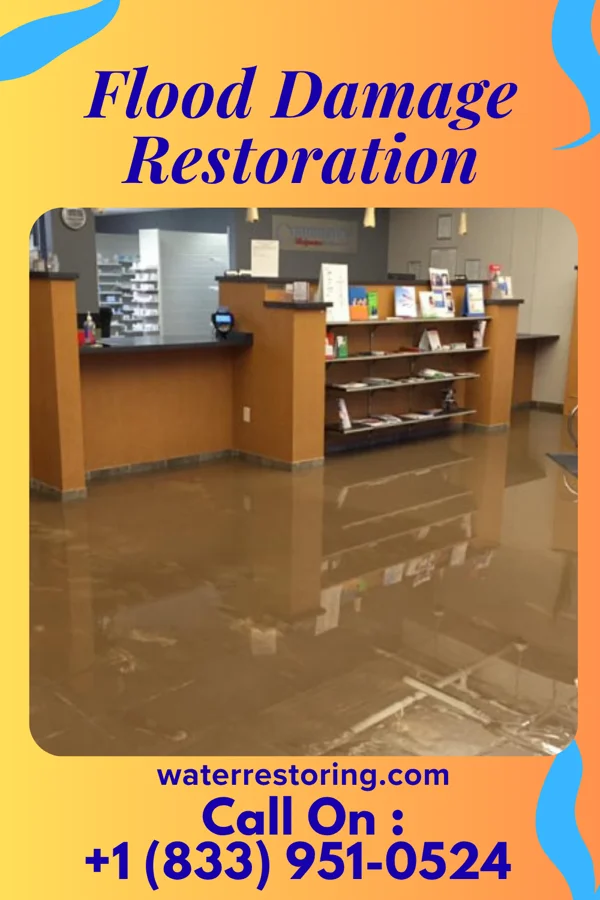 Flood Damage Restoration in Morganza, LA